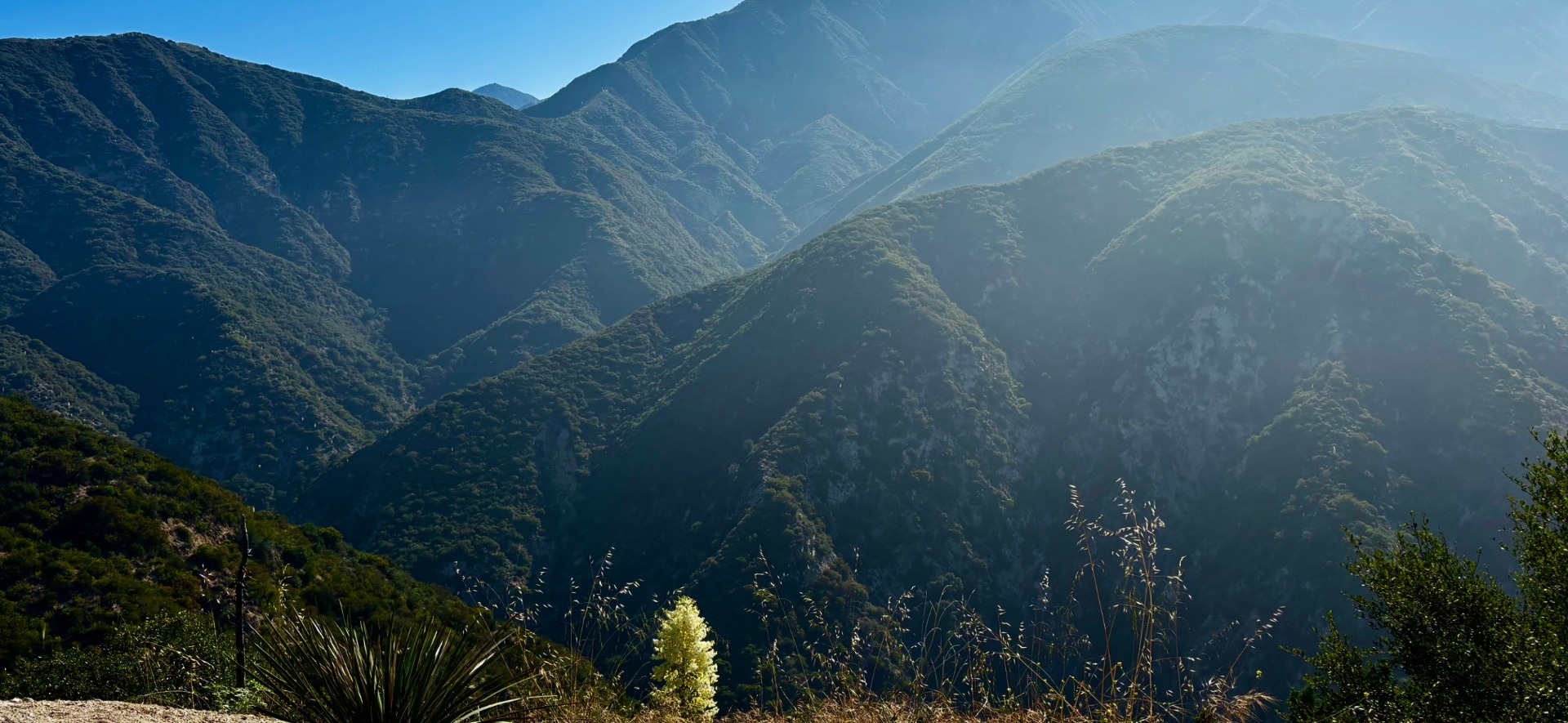 Los Angeles Trails