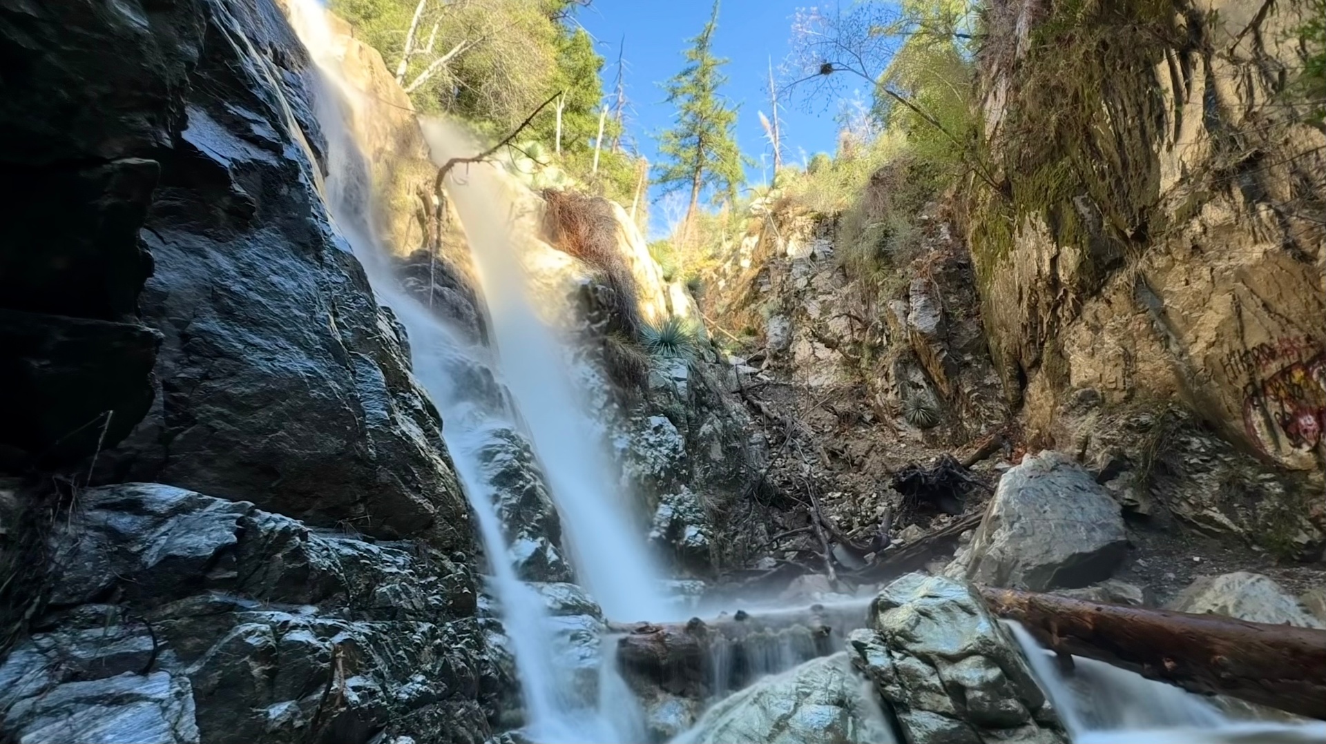 Lewis Falls