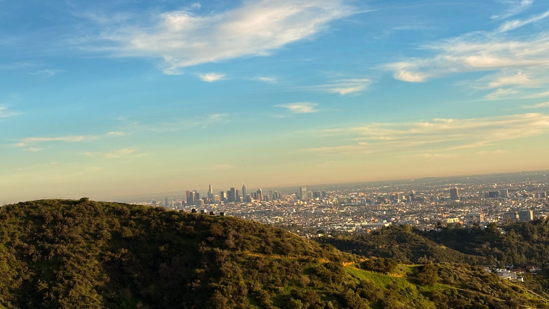 Green hills of Griffith Park with the downtown Los Angeles skyline beyond