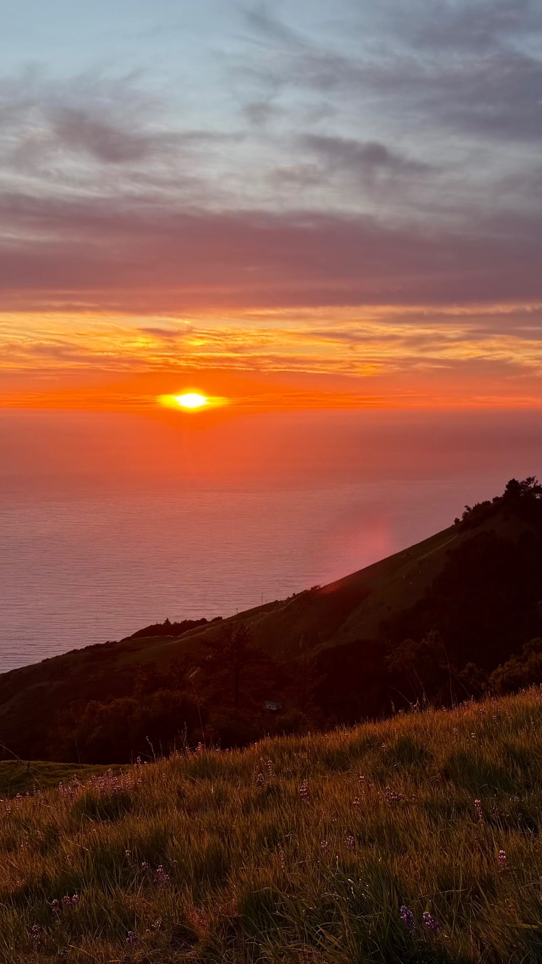 Fiery sunset over the ocean from the hills of Los Padres National Forest