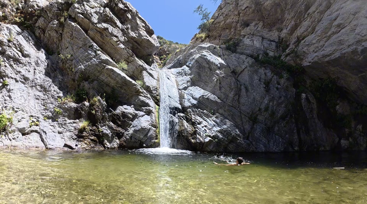 Wild Swimming