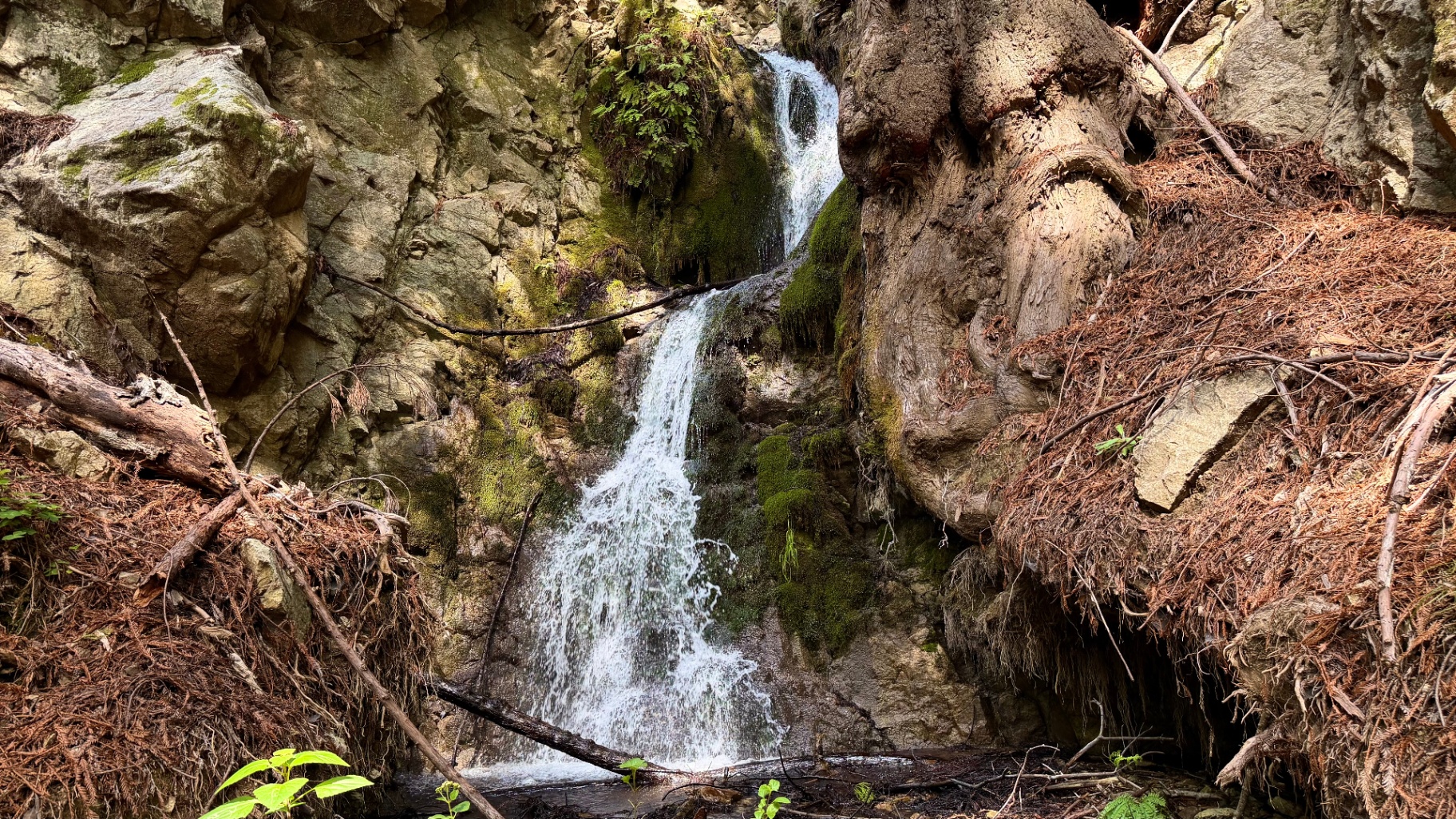 Hidden Waterfalls